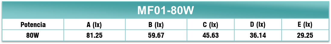 Gestion Luminica MF01-80W